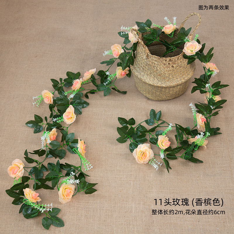 장미 10송이 - 샴페인 컬러