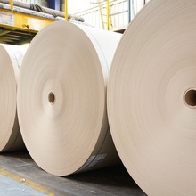 Westrock美国白卡纸单双面淋膜白芯白卡纸