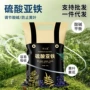 家用黄叶植物栀子花硫酸亚铁