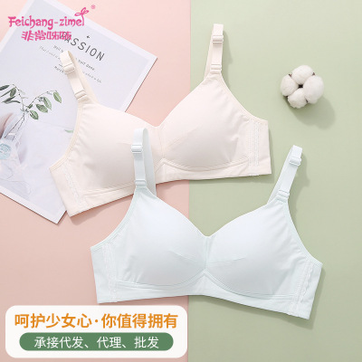 三阶段日系纯色少女文胸无钢圈大学生成人微聚拢收副乳薄款内衣