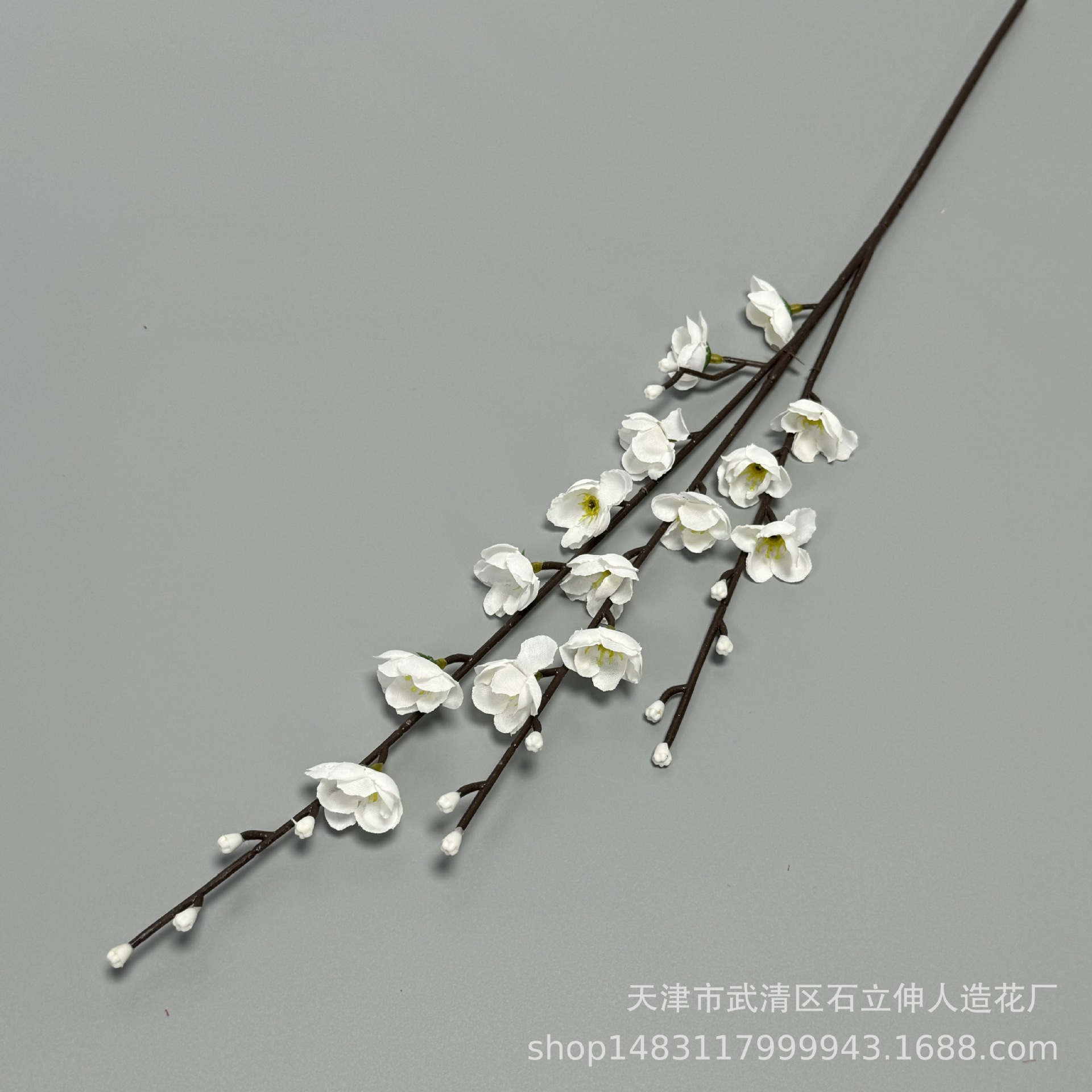 작은 3갈래 흰색