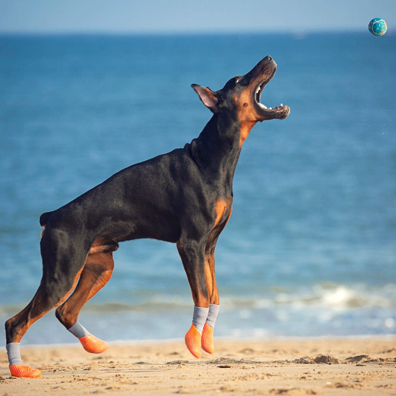 Обувь и носки для собак с золотым ретривером, эластичные носки с мягкой резиновой подошвой для рта Лабрадора, обувь для собак, водонепроницаемая, прочная и нескользящая