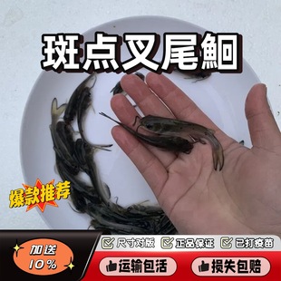 �㽭��β�~�絭ˮ�Bֳʳ�û��w��ˮ��߅�~�Q�~���F���c��β�t�~��