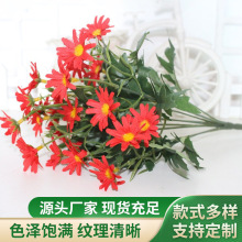 9�24�^ĥ����С�r�� ���l���滨 С�������޾� �҃��b���ֲ��
