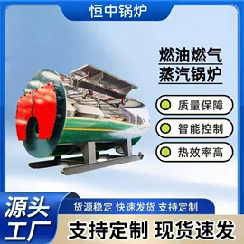燃气锅炉;蒸汽发生器;燃生物质锅炉