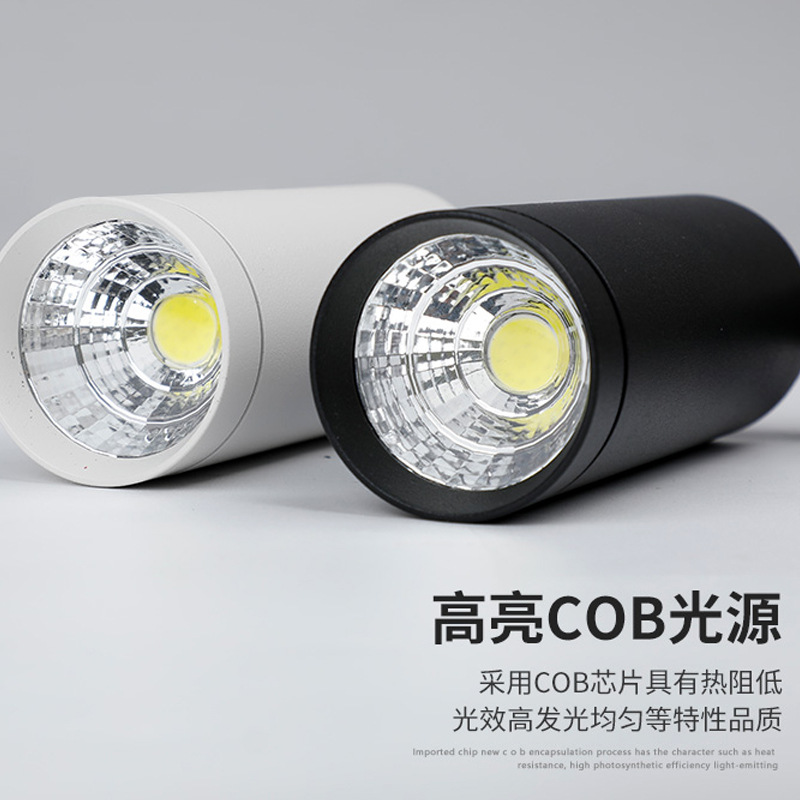 Track spotlight LED ceiling light downlight for installation ceiling shop lighting boutique spotlight Nordic TV background wall