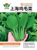 Factory wholesale small packaging vegetable seeds e -commerce drainage mini original color bag four seasons potted and easy to grow vegetable seeds