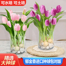 ���m�������ļ��Nֲ������N��ˮ���������ֲ�ﻨ�ܾGֲ����