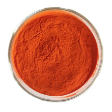 �ؼt����30% ���t���� ���t���� �ؼt����-II