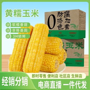 �|��Ŵ����8֧��Ŵ���װ���ʹ����SŴ�������r���������l���l