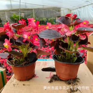 ������ϲ��ͺ��������ļ��_���ﺣ���ļ���������ͥԺ�̨����