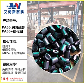 PA66;PA6;PPS