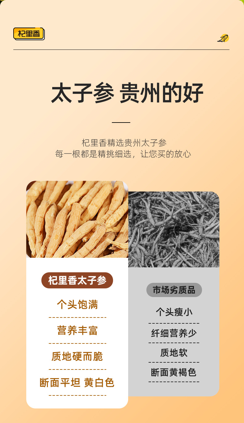 Dried Tai Zi Shen Root 150g Round Jar Guizhou Origin Soup Herb key features