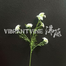 ���^��֦�ٽz�� ��c���Ż����T��̨·���bٻ� �鼆�zӰ������