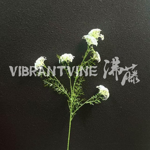 ���^��֦�ٽz�� ��c���Ż����T��̨·���bٻ� �鼆�zӰ������
