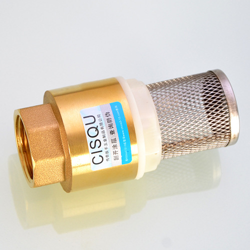 4 minutes 6 minutes 1 inch brass water pump pump bottom valve with filter water pipe one-way valve reverse check valve
