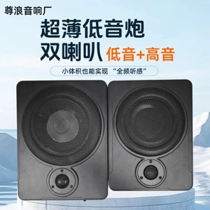 Avtomobil Sabvufer Tiz Səsli Avtomobil Audio Dinamik 10 düym Ağır Bas