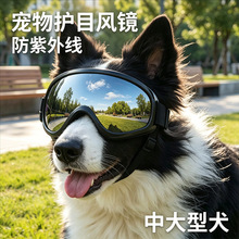 �羳�F؛���l�󹷹�����ī�R���Lɳ��������д���Ȯ��ë���o���R