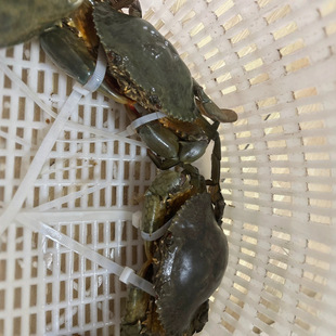 �з�������������r�з���rˮ�a���^�r����зˮ�aƷ��з����