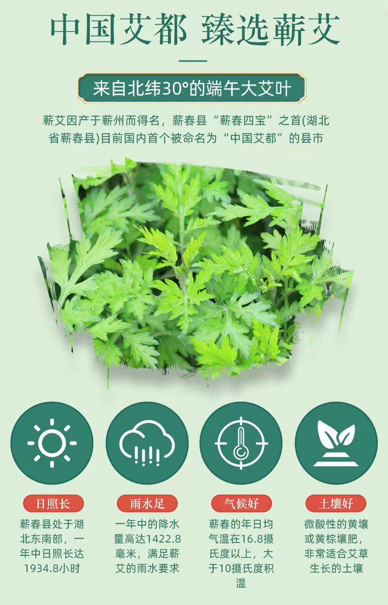 Qiren Tang Qiai Moxibustion Heat Patch with Mugwort Essential Oil 3 Patches per Box preparation