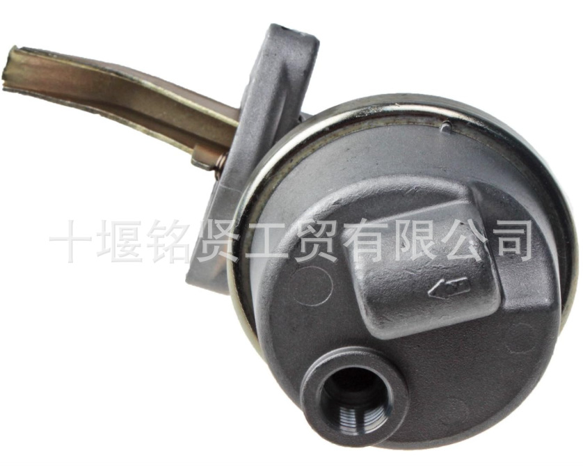 Cummins Engine B5.9 Series Diaphragm Oil Transfer Pump 3928143 3966154 4983584