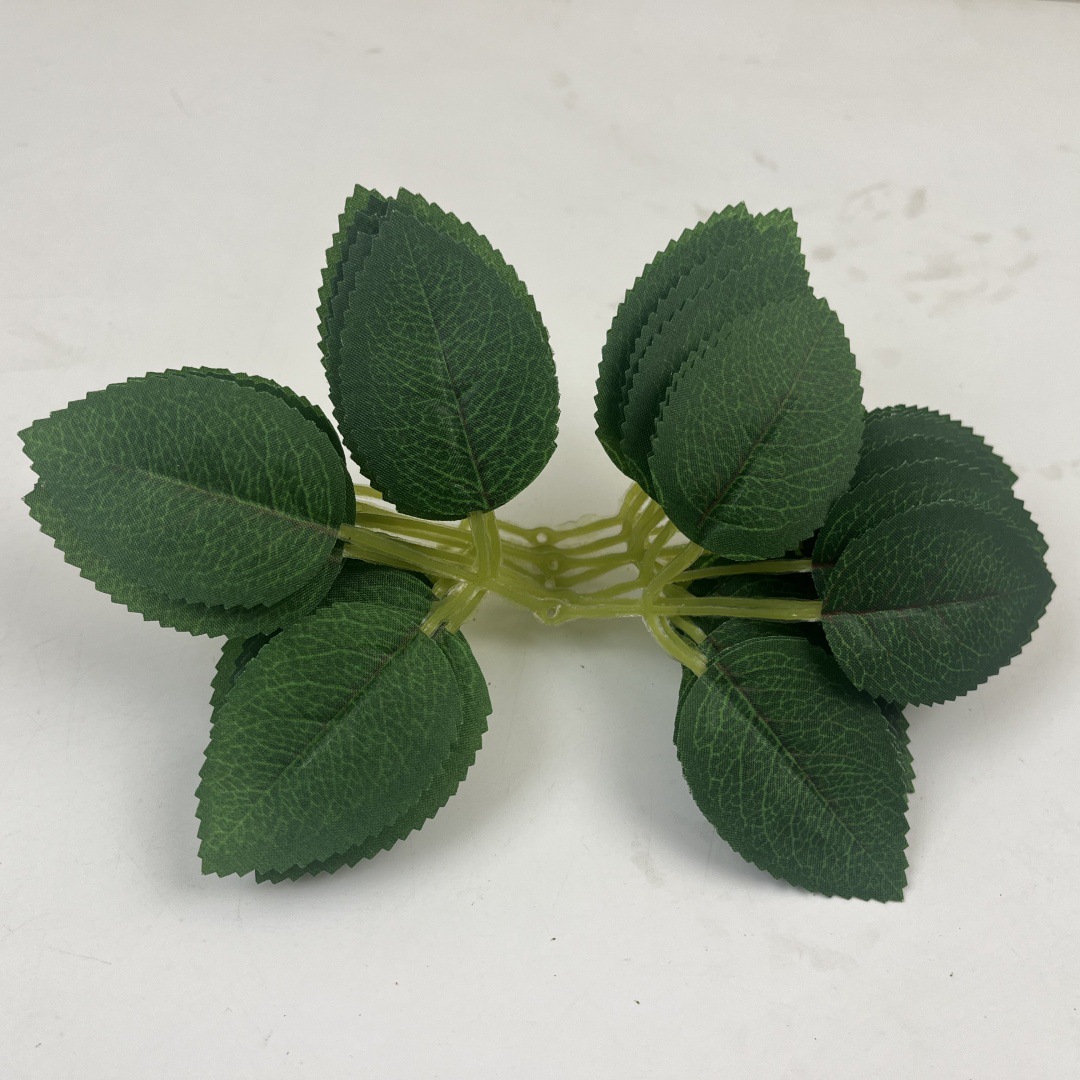 2025_02_18_11_51_IMG_4356_副本