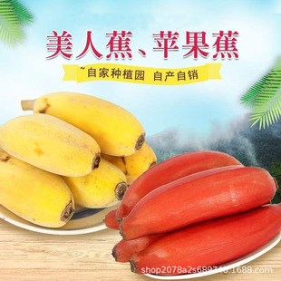 ���ڼt�����O�����㽶�pƴ�tƤ�����r�F������ˮ���tƤ�ЋD���]