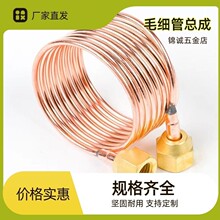 ���l�����~ë���� ����C�M�Ӊ����퉺��ë���� ���{�~��ë����