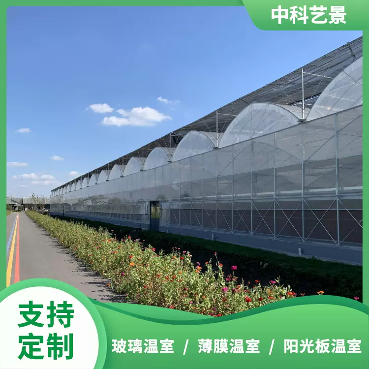 薄膜温室搭建抗压能力强整体结构稳定性好透光高 连栋大棚