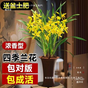 �m�����Ԏ������l؛���F����ֲ�����m�����ļ��_���Gֲ���m������