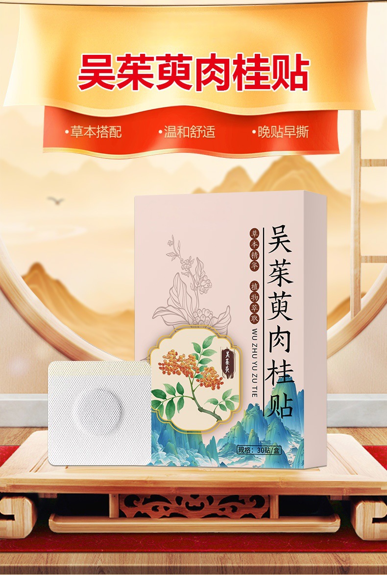 Wu Zhu Yu Cinnamon Herbal Foot Patch Moxibustion Warm Compress for Foot and Navel overview