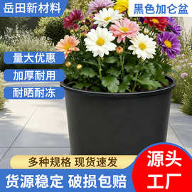 加仑盆育苗盆黑色加厚透气塑料花盆兰花石斛芍药绿萝月季大花盆