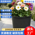 加仑盆育苗盆黑色加厚透气塑料花盆兰花石斛芍药绿萝月季大花盆