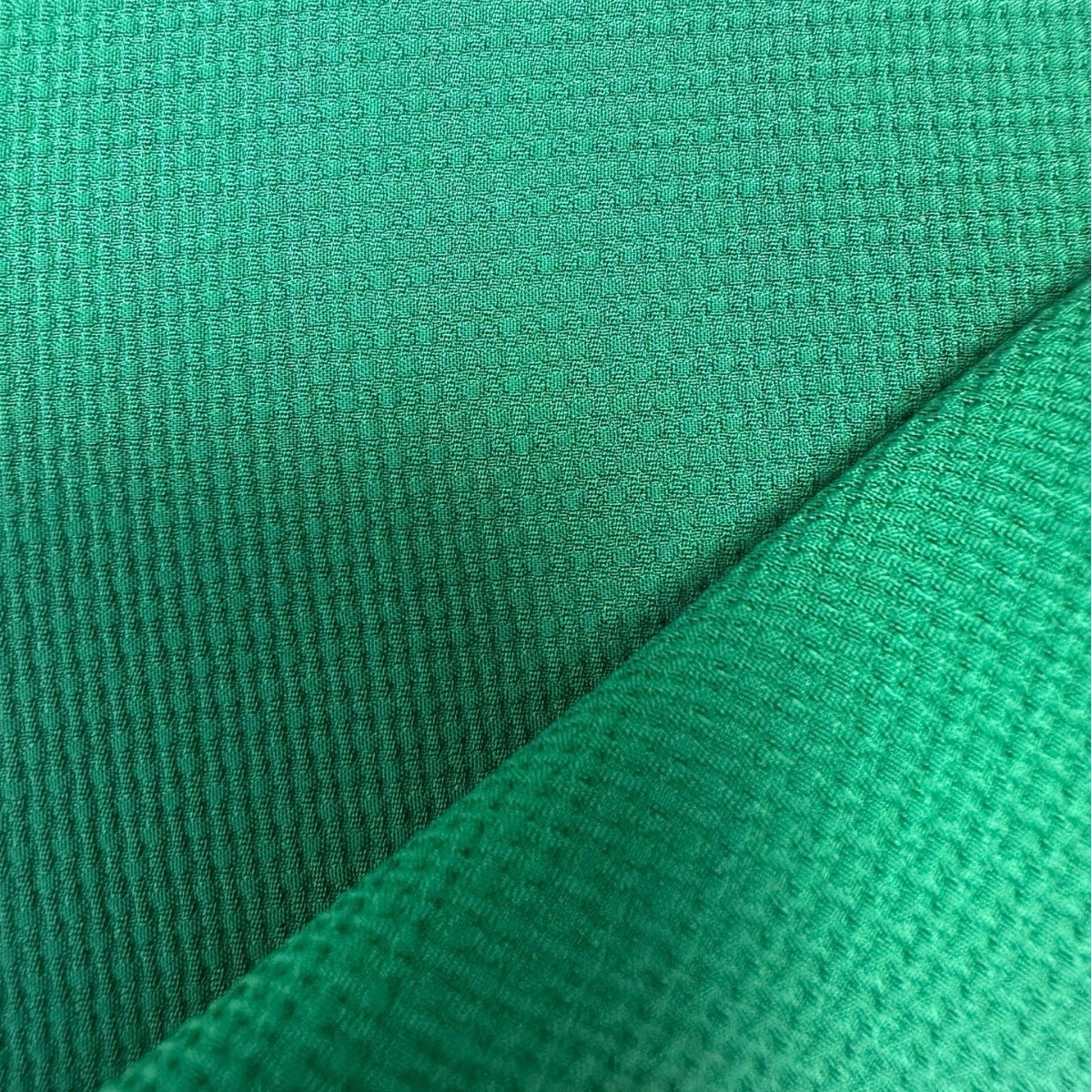 2024-11-04 19:21:00.jpg