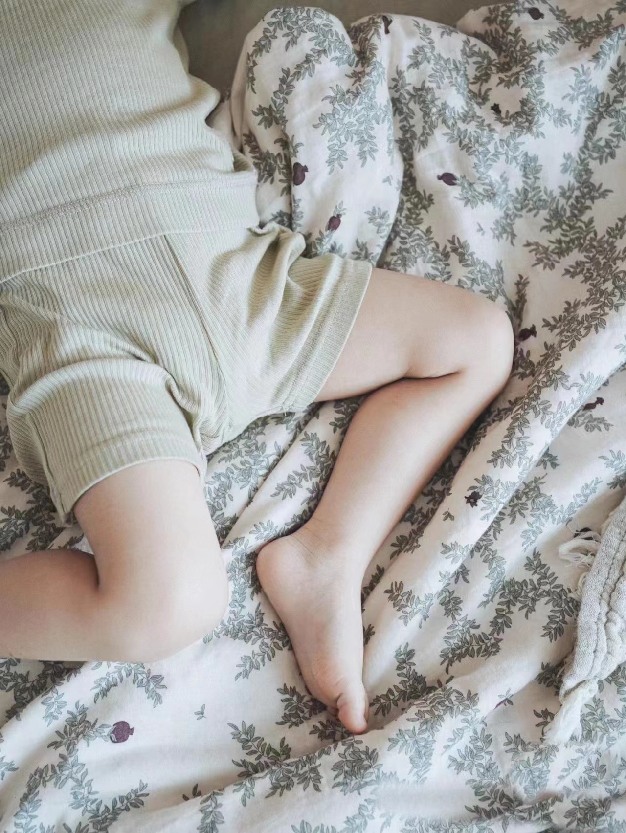 석류 꽃 고운 모래 광장