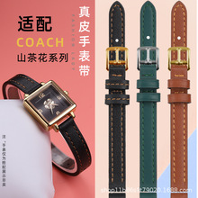 �m��ޢ���ֱ�Ů��CASSϵ��ɽ�軨С�������e�r����Ƥ�펧���10mm