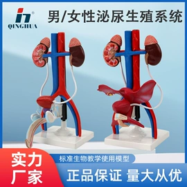 数理教学器材;教学演示用品;生物教学器材