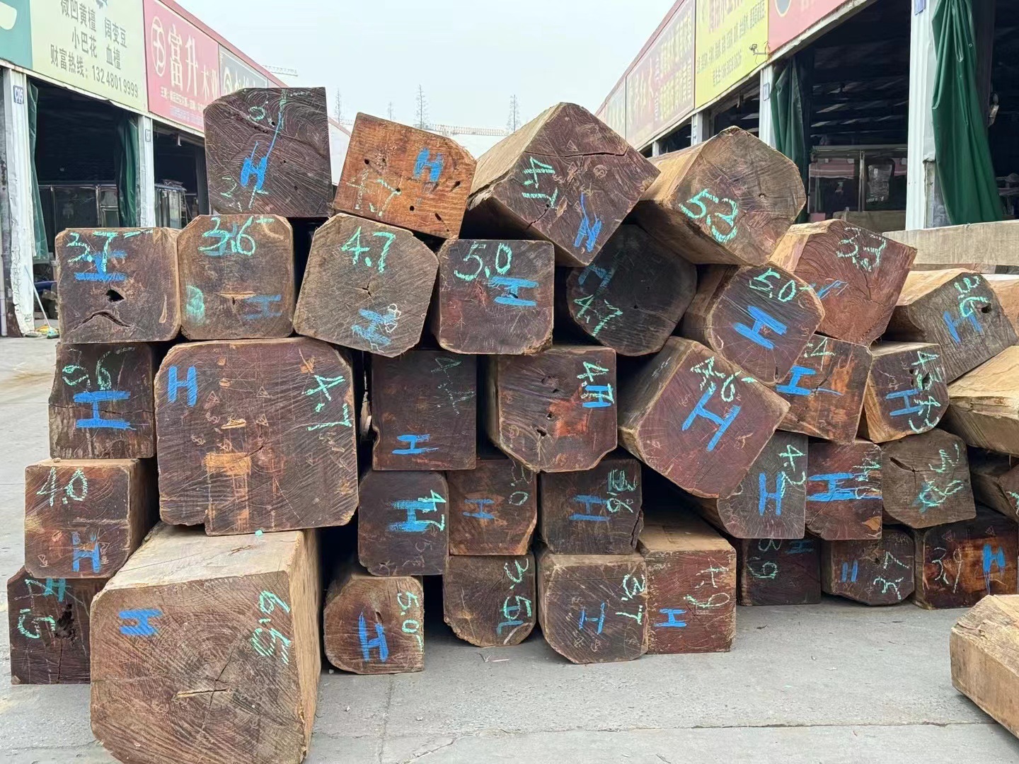 微信图片_20240627142655