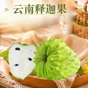 �����ȹ� ���l���l1/2/3/5��С���й�������^���r�����rˮ��