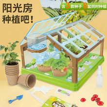 儿童种植吧阳光房创意植物手工diy材料包科学小实验学生迷你玩具