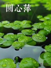ˮ�ݸ�Ƽ�A��Ƽ����ˮ�|ˮ��GֲͥԺ�k�����~�r�����쾰Ư��̫��