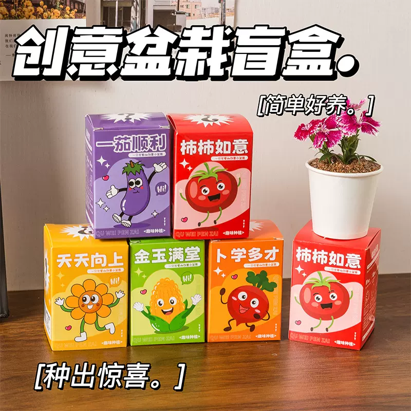 学生桌面种植小盆栽盲盒儿童DIY绿植室内迷你网红办公室花卉植物