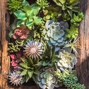 ʯɏ��ʯ���^��ɏ����ɏ�J�C����ֲ��GֲС�辰�b[��