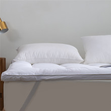 ||1.51.8kangfang\wS|޴䁿͗Ƶ