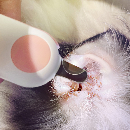 Cross-border New Nail Clippers Puppy Nail Clippers with Blood Line Lamp Cat Nail Clippers Novice Pet Supplies Wholesale