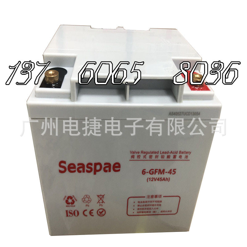 Seaspae蓄电池6-GFM-45 12V45AH用电梯 船舶 机房UPS EPS 消防