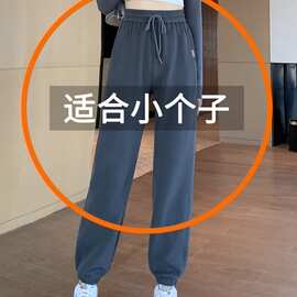 灰色运动裤女春秋八分小个子休闲裤子九分棉束脚卫裤女