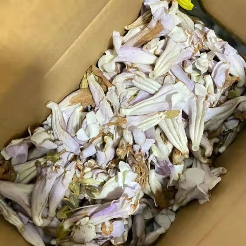 Dried Paulownia Flower Wu Tong Hua 500g Traditional Chinese Herbal Tea Ingredient quality and texture