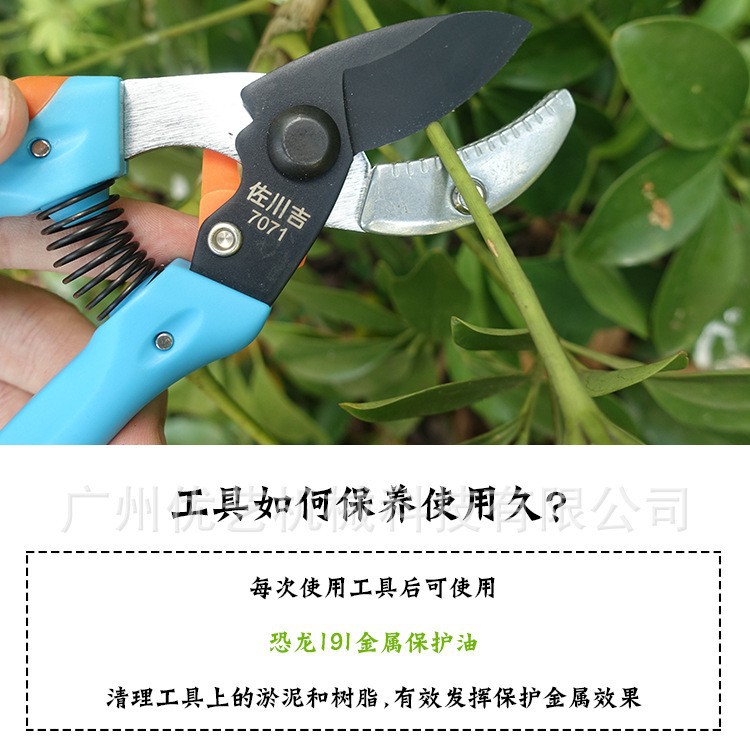 台湾佐川吉7071园艺剪枝剪刀园林修枝剪花卉花草花艺修枝剪刀工具