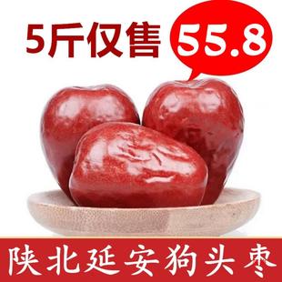 2023���Ӱ����^������a��5��ꄱ��Ӵ����������^��